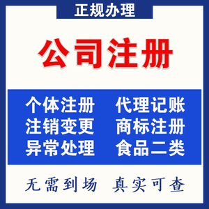 商务咨询服务与商务代理代办服务的价值与实践